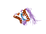 1x52: Solution structures of the C-terminal domain of the human Pelota homolog (CGI-17)