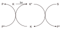 Photoinduzierte katalytische reaktion