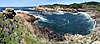 Point Lobos