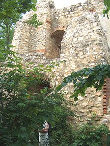 Der Südteil der Ruine Hornstein