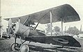 Sopwith Pup mit 100 PS Gnome-Monosoupape-Motor und der längeren, unten offenen Motorhaube mit vier Luftschlitzen