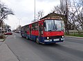 Ikarus 280 a Reitter Ferenc utcában