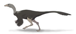 Archaeornithomimus