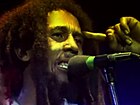 Bob Marley, Reggae-Musiker