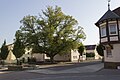 Village Square, "An der Linde" Villingen. July 2012.