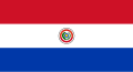 Paraguay bayrağı (1990-2013) (ön yüz)