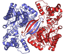 Alanine transaminase 2 PDB: 3IHJ​