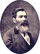 José de Alencar, scriitor brazilian