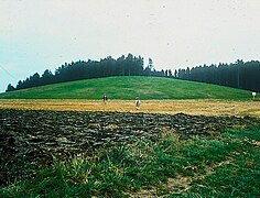 Hügelgrab Magdalenenberg