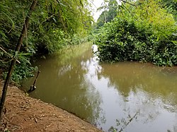 Okorocha Stream, an important source of irrigation for farms in Akpujiogu