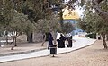 Pemandangan kaum wanita Muslim di Masjid al-Aqsa berlatar belakangkan Kubah Al-Sakhrah