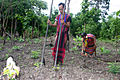 Image 19Brao couple farming (from Culture of Laos)