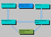 Cognitive-Affective Personality System