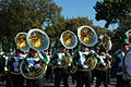 Sousaphones marching in the 2008 Homecoming Parade