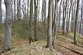 Plateau der größeren (nordöstlichen) Burg, mit Resten des Ringwalls