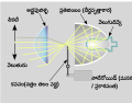 తెలుగు