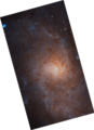 Mit dem Hubble-Weltraumteleskop sind Sterne der Galaxie einzeln erkennbar