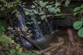 Lauf des Strümpfelbaches mit Wasserfall und Feuchtwiese ⊙48.7735229.377808