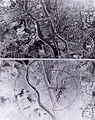 File:Nagasaki 1945 - Before and after.jpg