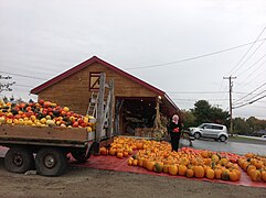 Neuville, Autumn harvest