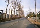 Grumbkowstraße Blick nach Nord