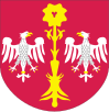 Wappen des Powiat Skierniewicki