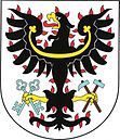 Wappen von Petrovice I