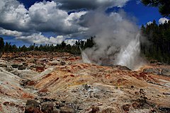 Water and steam erupting from rocky, barren ground, and fir trees in the background