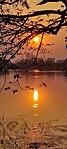 Sunset at the Rabindra Sarovar