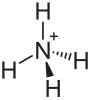 Ammonium cation