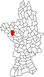 Location in Olt County