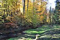 Giessenbach valley and stream