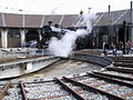 Die Dampflokomotive C 5/6 2978 «Elefant» fährt aus dem Depot auf die Drehbühne