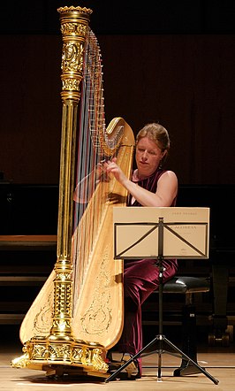 Godelieve Schrama tijdens het docentenconcert van de Detmoldse Zomeracademie 2015