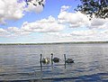 Lake Vištytis