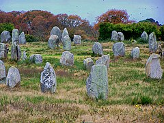 Stones in The Ménec alignments