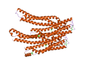 2oex: Structure of ALIX/AIP1 V Domain