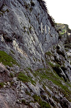 Oberer Dopplersteig[11] (nach Abzweigung von Weg 462), Passage unterhalb des Zeppezauerhauses