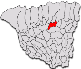 Location in Gorj County