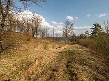 Von rechts nach links: Graben, Wall und Burgstall-Ansatz