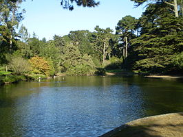 Een meer in Golden Gate Park