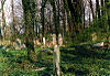 General view picture of the cemetery