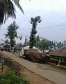 Krishnaraja village
