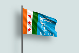 nsui flag