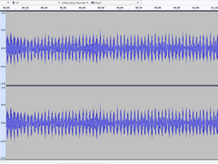 Sonograph of male stridulating