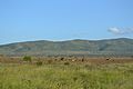 Οι Λόφοι Ταΐτα (Taita Hills) στην Κένυα.