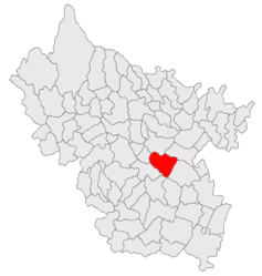 Location in Buzău County