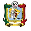 Coat of arms of Atoyac de Álvarez