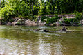 Image 36Bogue Chitto State Park (from Louisiana)