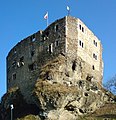 Burgruine Liebenstein (Blick aus nordwestlicher Richtung) Februar 2008